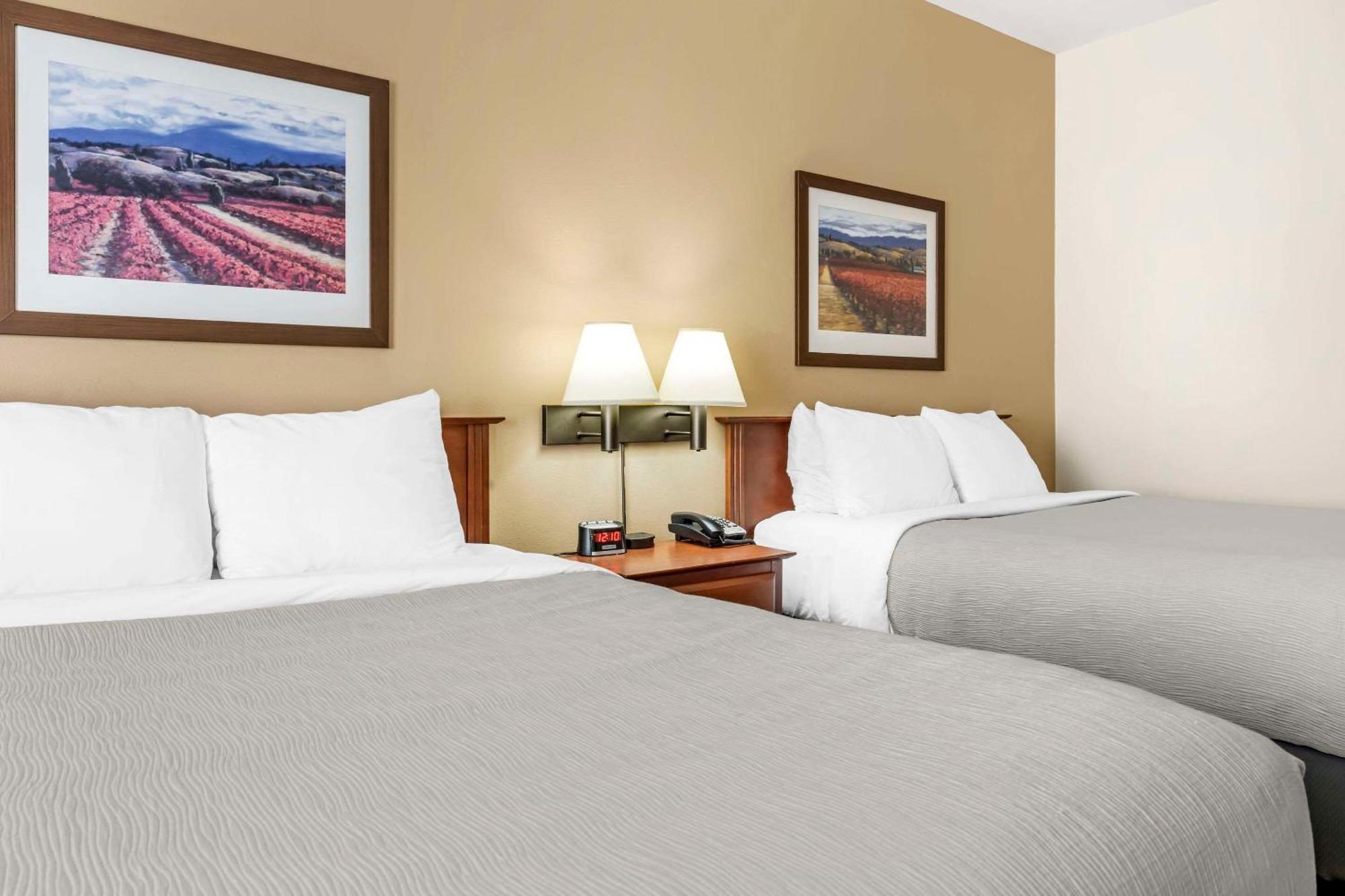 Quality Inn Airport Moncton Eksteriør bilde